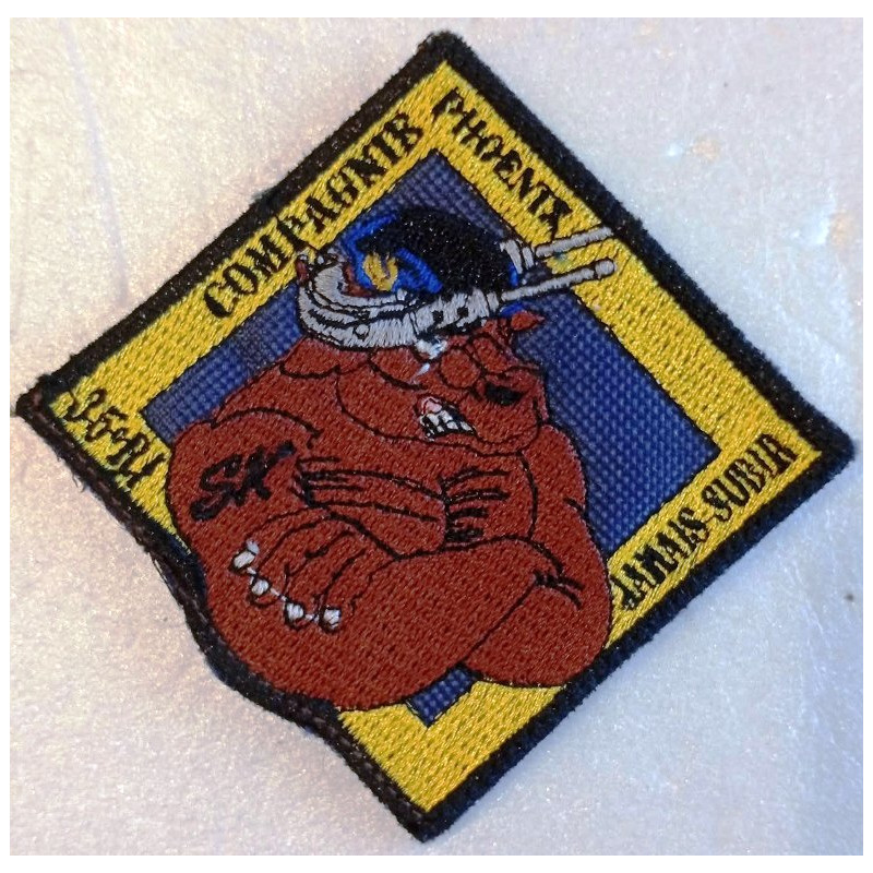 Ecusson velcro Couleur 9ème Compagnie Phoenix du 35ème Régiment d'Infanterie