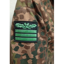 REPRODUCTION de Vareuse camouflée d'Hauptsturmführer de la Division S.S. Wiking