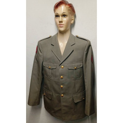 Vareuse TDF Artillerie + Insigne 1ère Div. Blindée + Nouveau Losange 1er R.A. + Bouton de Tradition sous-off./officier NEUVE