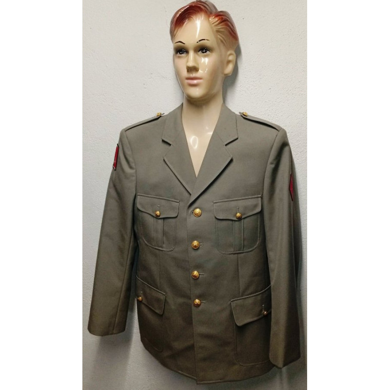 Vareuse TDF Artillerie + Insigne 1ère Div. Blindée + Nouveau Losange 1er R.A. + Bouton de Tradition sous-off./officier NEUVE