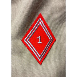 Vareuse TDF Artillerie + Insigne 1ère Div. Blindée + Nouveau Losange 1er R.A. + Bouton de Tradition sous-off./officier NEUVE
