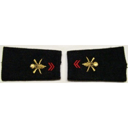 Paire de fourreaux d'épaule de 2ème Classe Infanterie