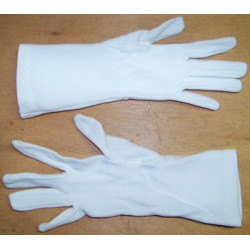 Paire de gants blancs Police Nationale