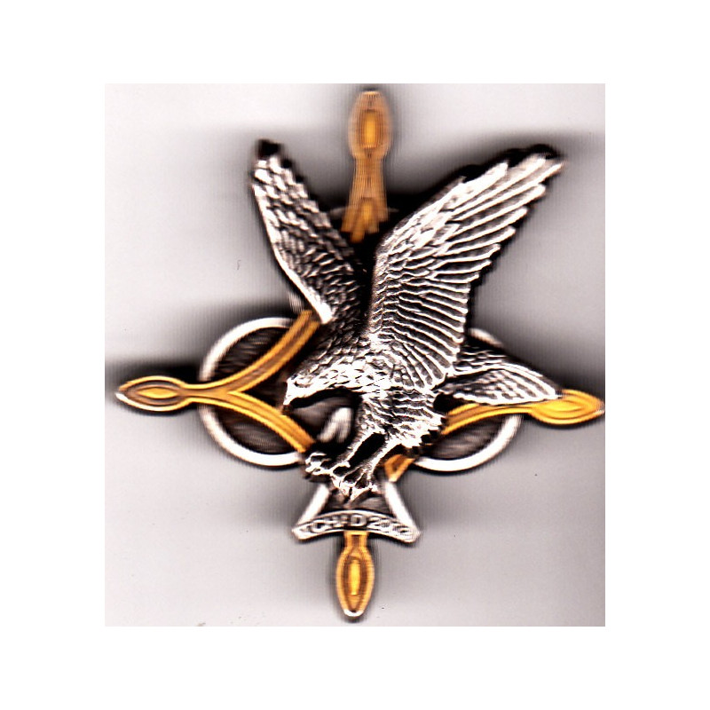 Opération Epervier du 35° Régiment d'Infanterie - Tchad 2003 matriculée