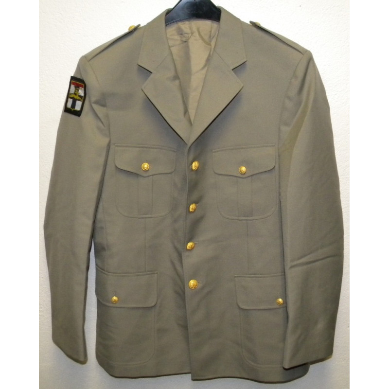 Vareuse TDF Infanterie + Insigne 7ème Division Blindée NEUVE