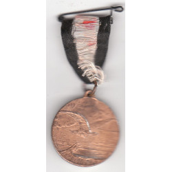 Médaille du financement de la Luftwaffe - National Flugspende