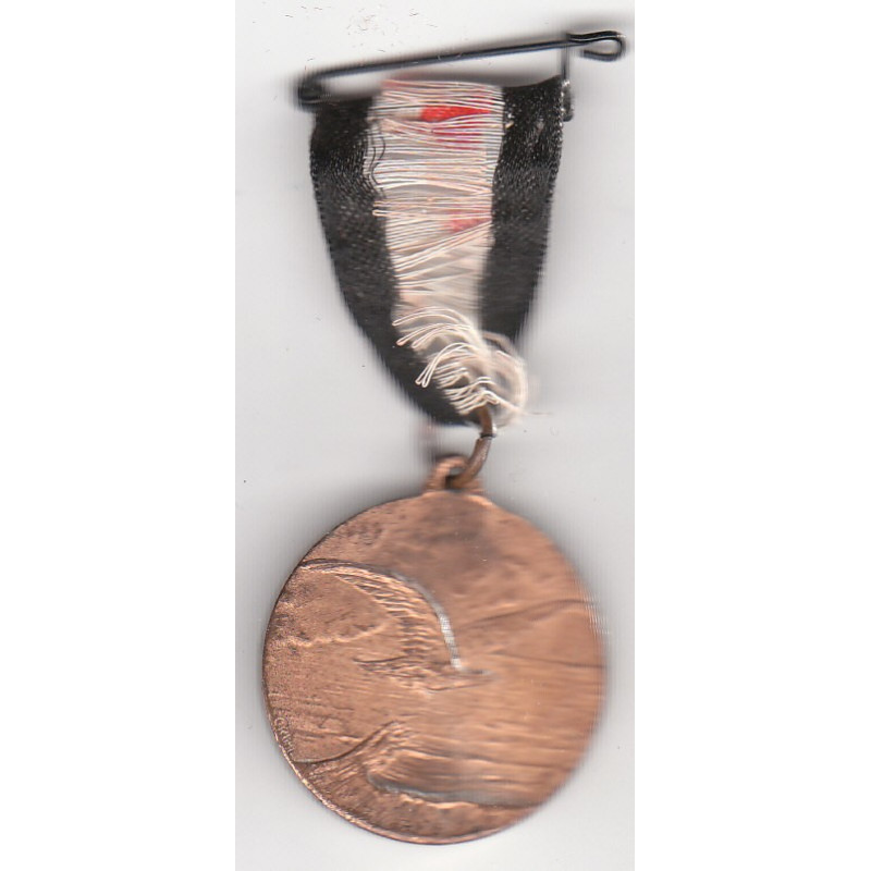 Médaille du financement de la Luftwaffe - National Flugspende