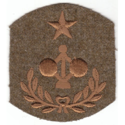 Patch de spécialité Génie Artillerie Côtière (2)