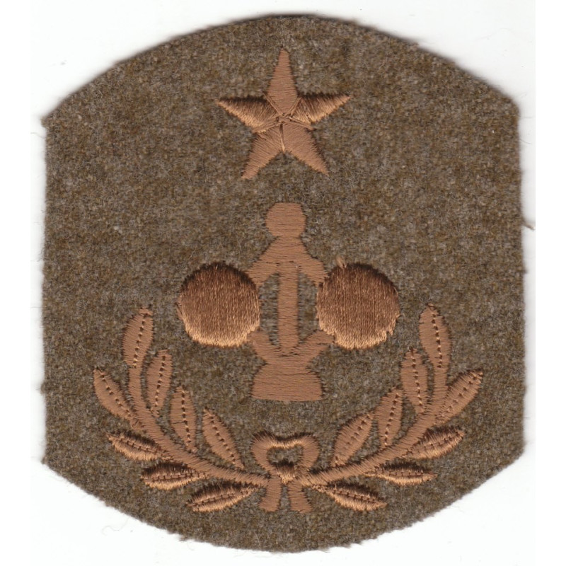 Patch de spécialité Génie Artillerie Côtière (2)