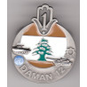 DAMAN 12 - O.N.U. Liban - 1er Régiment de Tirailleurs - Matriculé