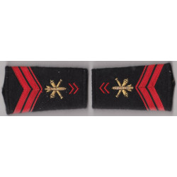 Paire de fourreaux d'épaule de Brigadier EVAT Artillerie