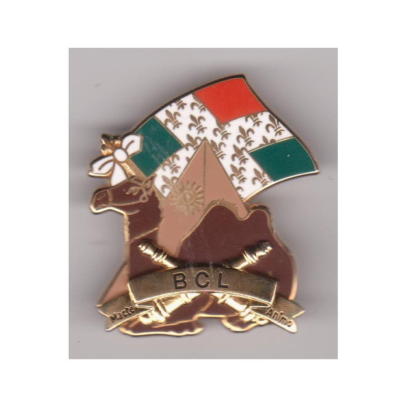 1er Régiment d'Artillerie - Batterie de Commandement et de Logistique