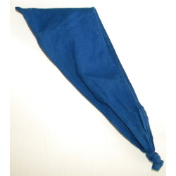 Foulard de Compagnie Bleu